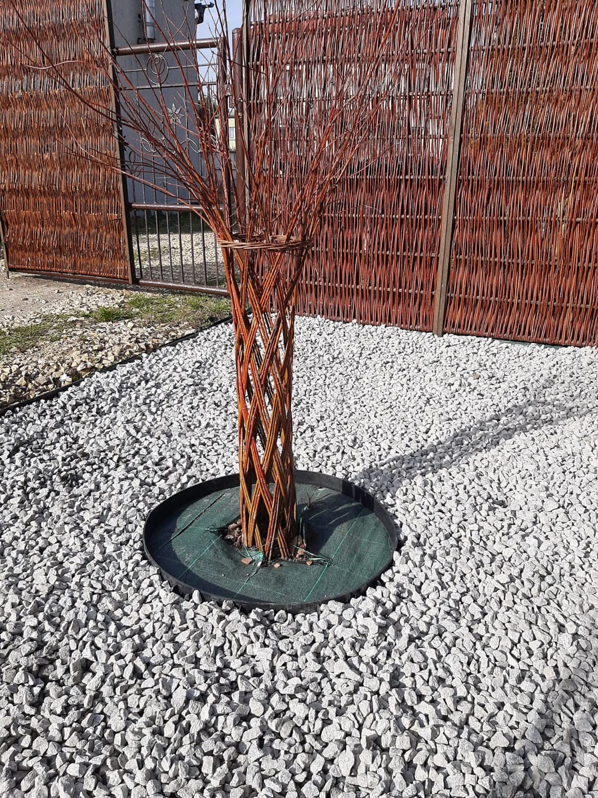 160 m² (100m x 1,6m) Zielona Agrowłóknina Ogrodowa Przeciw Chwastom - Agrotkanina 100g/m² - Wysoka Stabilizacja UV - Mata Ściółkująca Przepuszczająca Wodę