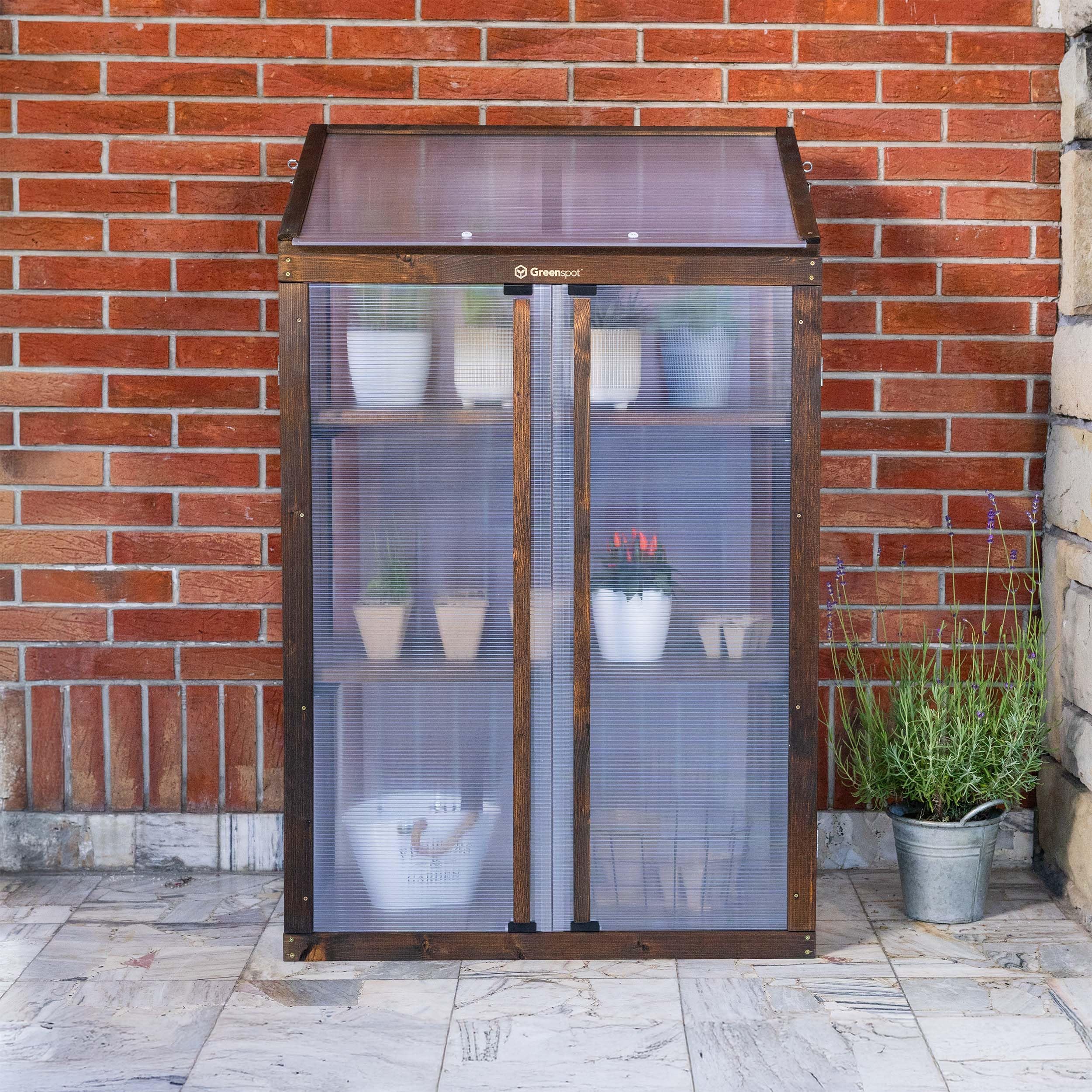 Greenspot - Mini Szklarnia na Balkon i Taras - Szklarnia Balkonowa - 80 x 42 x 121 cm - z Drewna i Tworzywa, Maks. Obciążenie Półki 50 kg - na Zioła, Kwiaty, Rozsady - Origin Ciemny Palisander | 3 wytrzymałe poziomy na zioła, warzywa i kwiaty. Składany da
