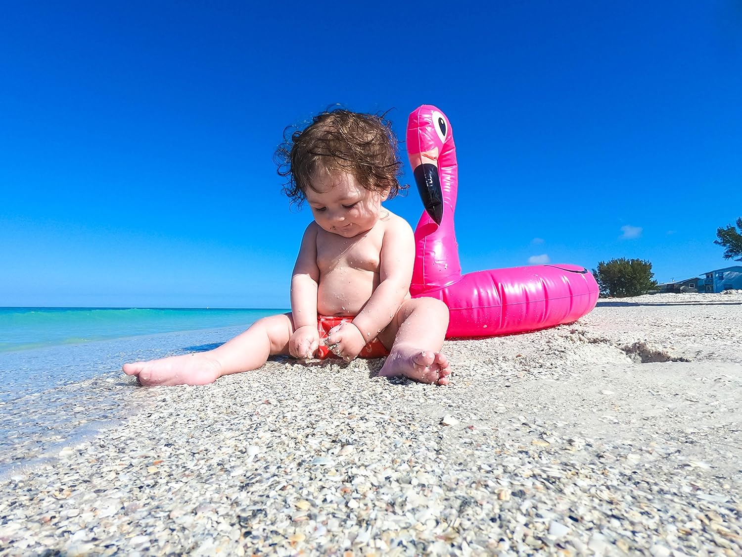 Reusable Baby Swim Diapers (Sizes N–5) – Adjustable, Easy-Wash Nageuret Reusable Swim Diaper Boys & Girls – Soft, Breathable, Waterproof Swim Wear for Baby & Newborn! (Flamingos) : Clothing, Shoes & Jewelry