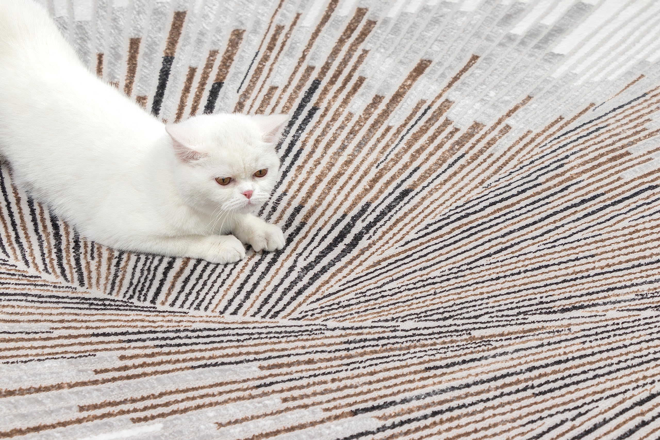 the carpet Mila Modern Dicher Tappeto a pelo corto, per soggiorno, camera da letto, elegante fibra lucida, effetto profondo, grigio crema, 140 x 170 cm