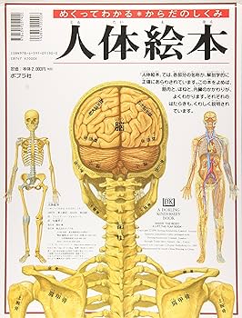 ヴィンテージ飛び出す絵本　人間の体　The Human Body The Human Body pop-up book - YouTube