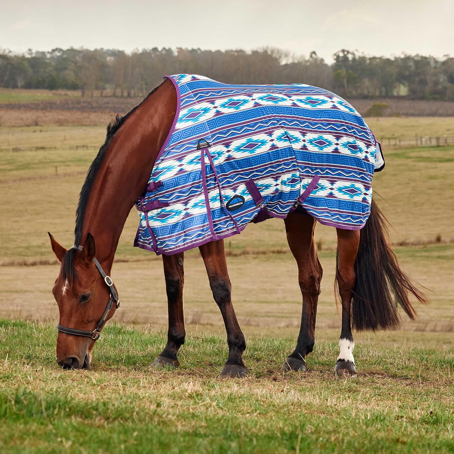 WeatherBeeta ComFiTec Essential Fly Sheet, Purple Navajo Print, 66"