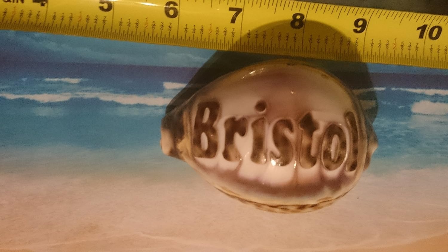 Amazon.com: 'Bristol' Personalized Name Engraved on a Tiger Cowrie ...