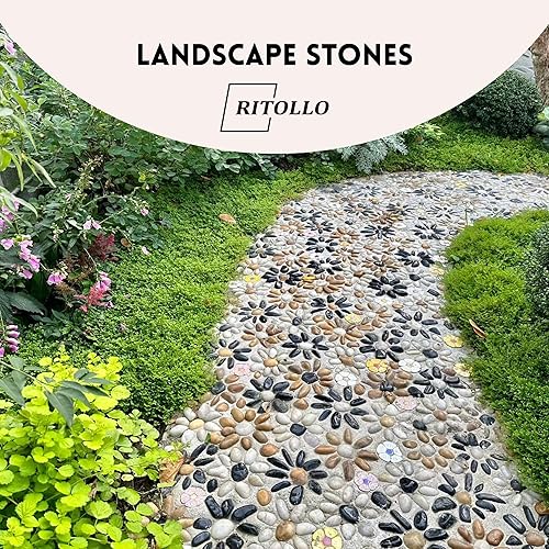 Miniatura 6 de Piedras de 12 libras, rocas de río de gravilla de guisantes de 0.4-1.2 in, para plantas de interior, piedras decorativas altamente pulidas, relleno