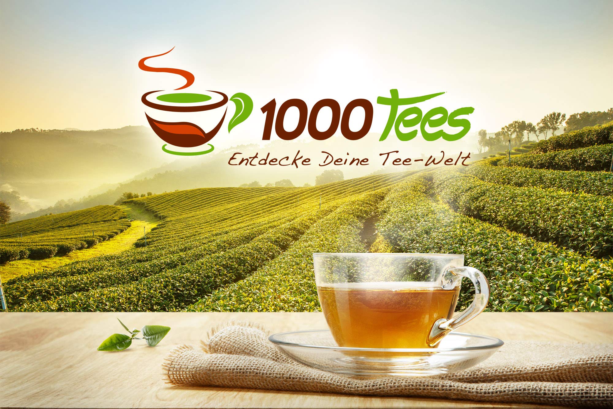 Schwarztee BIO Jungpana First Flush aus Darjeeling, mild, blumig, frisch abgefüllt