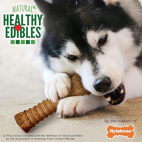 The 11 Best LongLasting Dog Chews In 2024