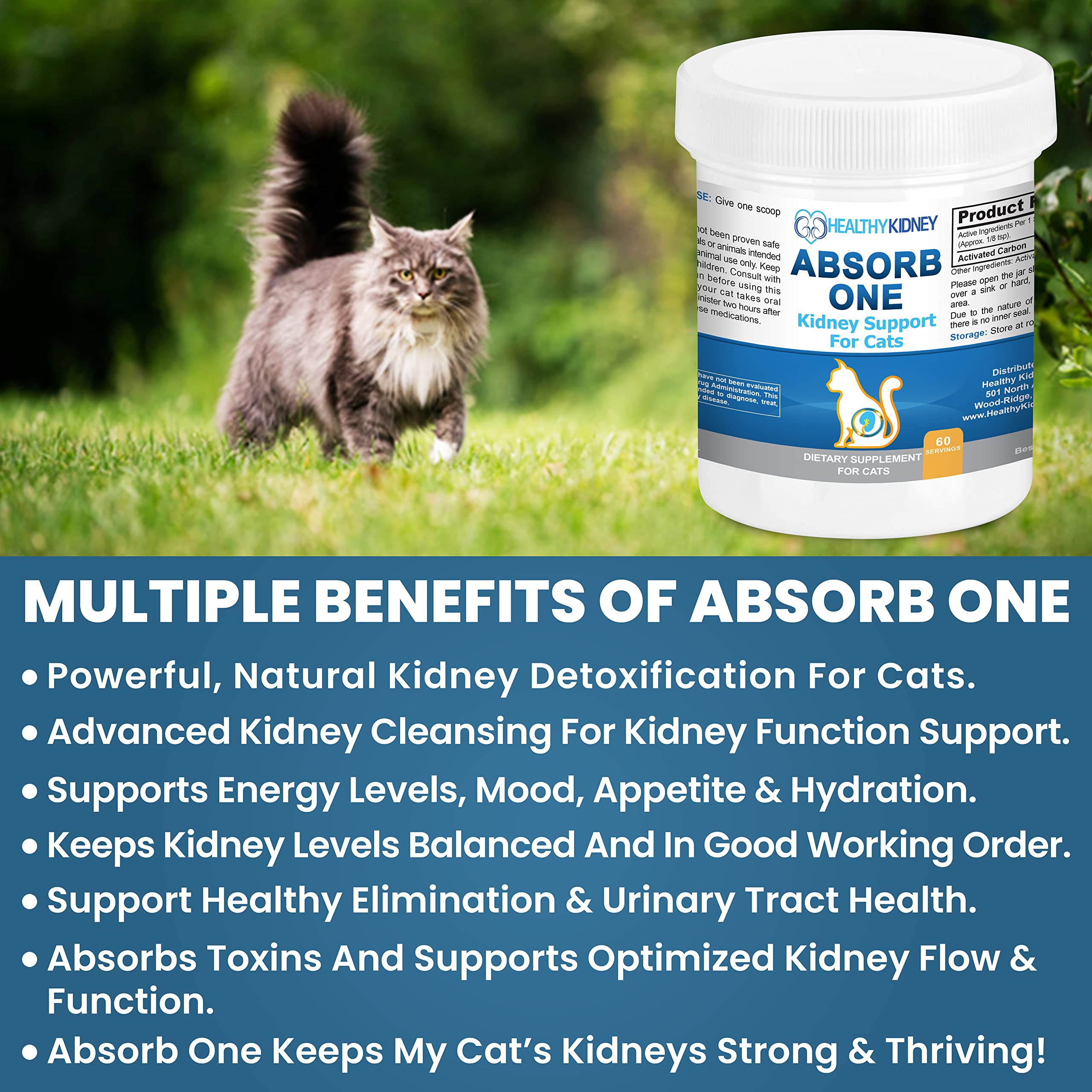 Kidney Function Best Cat Food For Kidneys Kidney Restore Best Cat