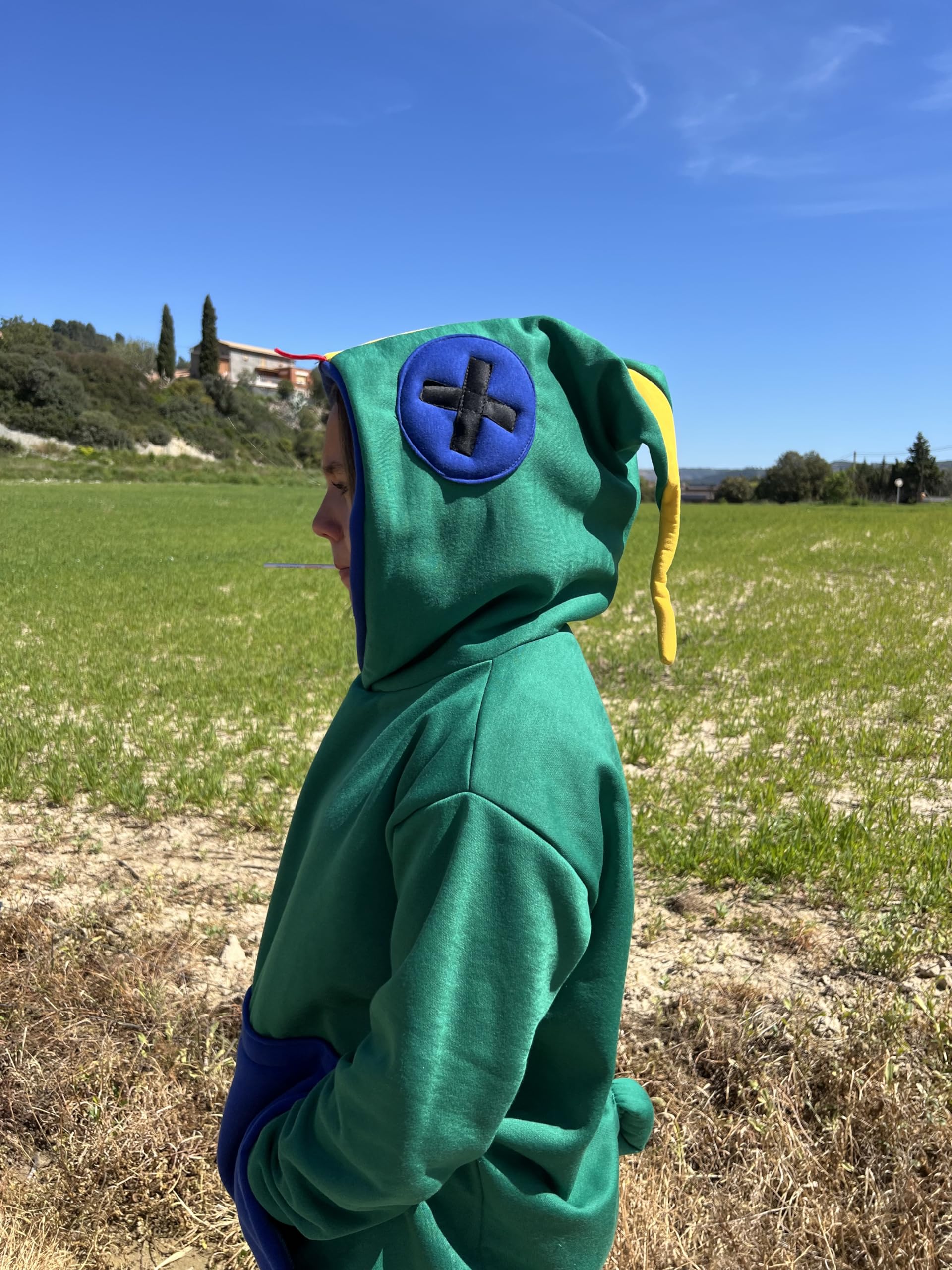 Sudadera con Capucha de Diseño Animal, Estilo León, Verde y Azul, Bolsillo Canguro,