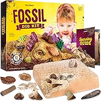 Dan&Darci Real Fossil Dig Kit: Excavate 12 Authentic Fossils, STEM Science Toy for Kids 8-12, Perfect Birthday Gift