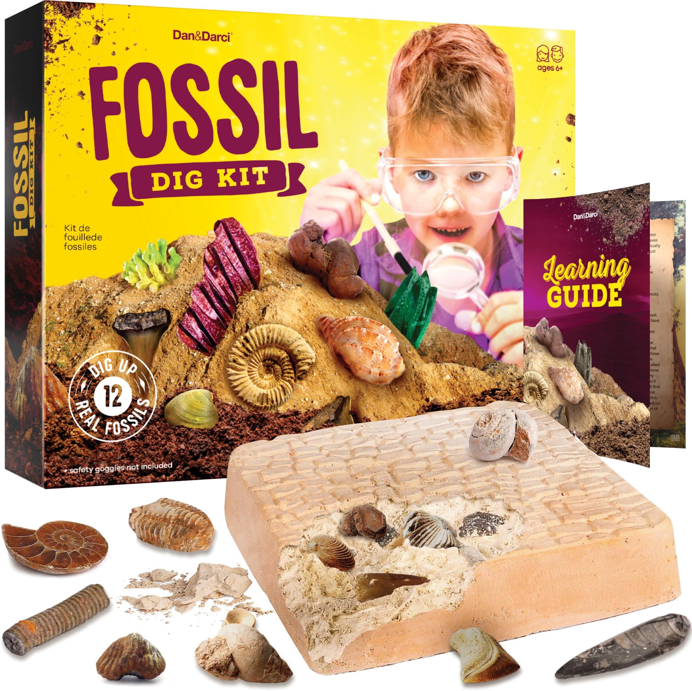 Dan&Darci Real Fossil Dig Kit for Kids - Mega Science Kits for Boys & Girls Age 8-12 - Birthday Gift Ideas for 8, 9, 10, 11, 12 Year Old Boy or Girl - Fossils Digging Top STEM Toys for Ages 8-13