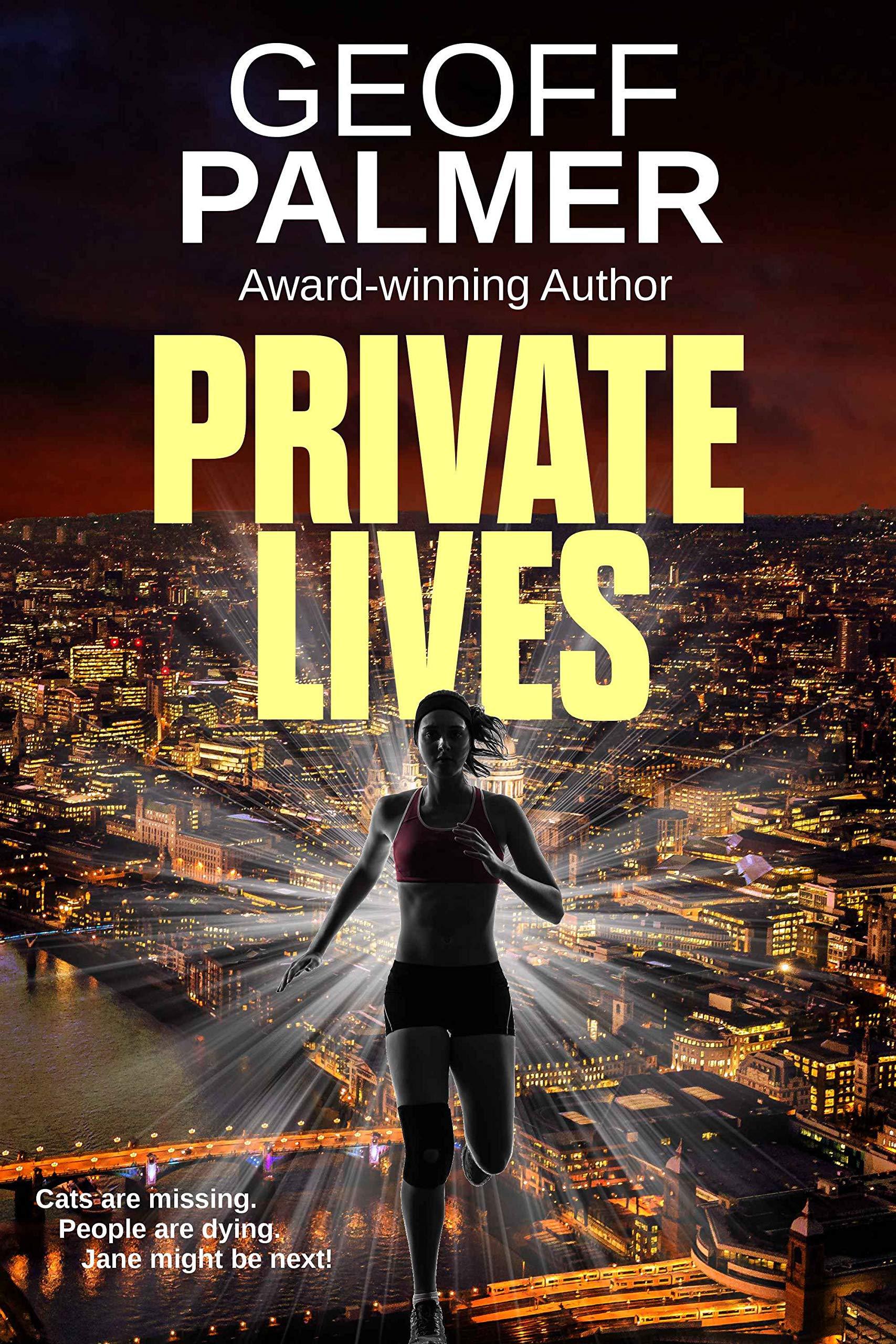 Private Lives: 2 (Bluebelle Investigations)