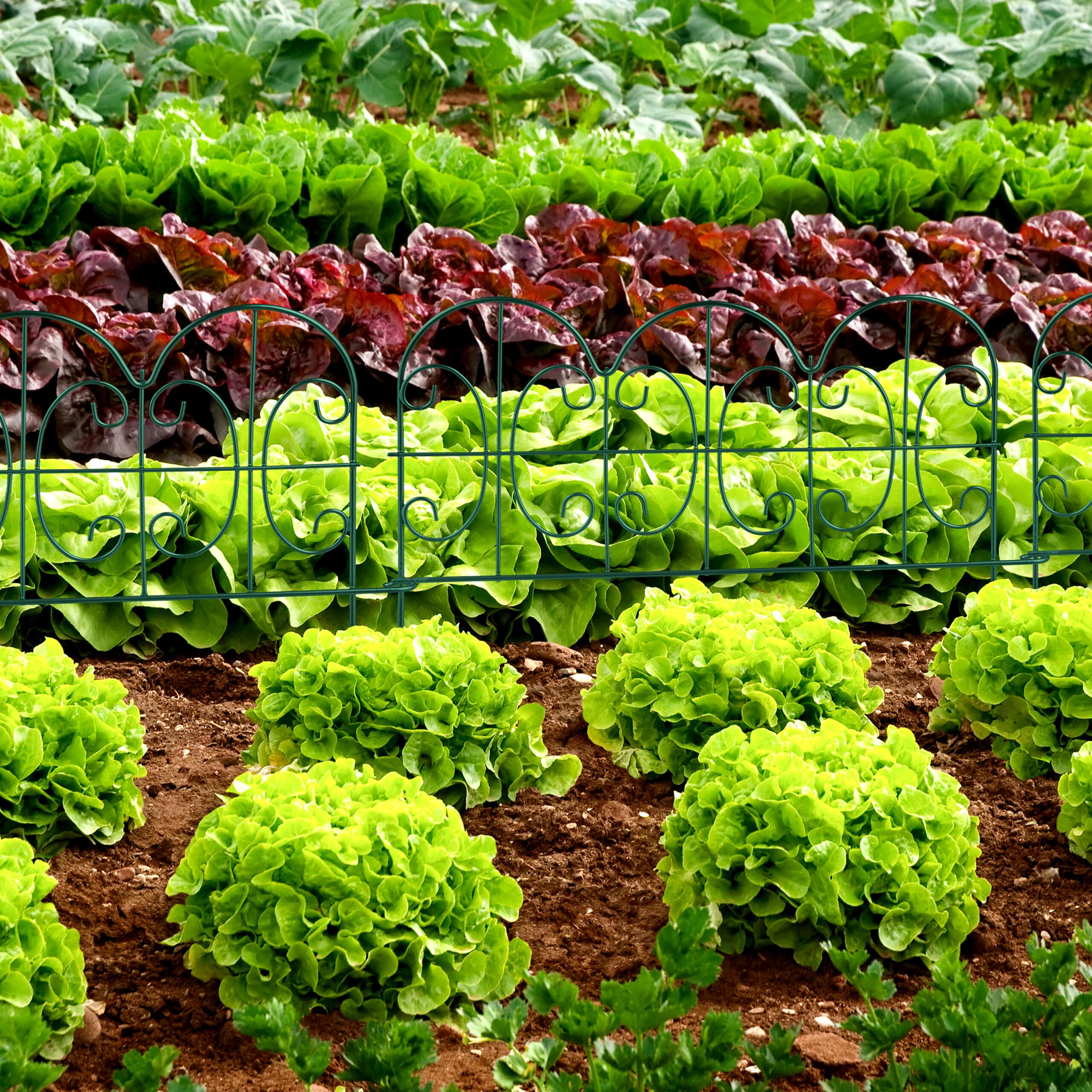 Relaxdays Bordure de Jardin, lot 4 éléments, métal, HxL: 28x38,5 cm chacun, pour extérieur, à Planter dans Le Sol, Vert