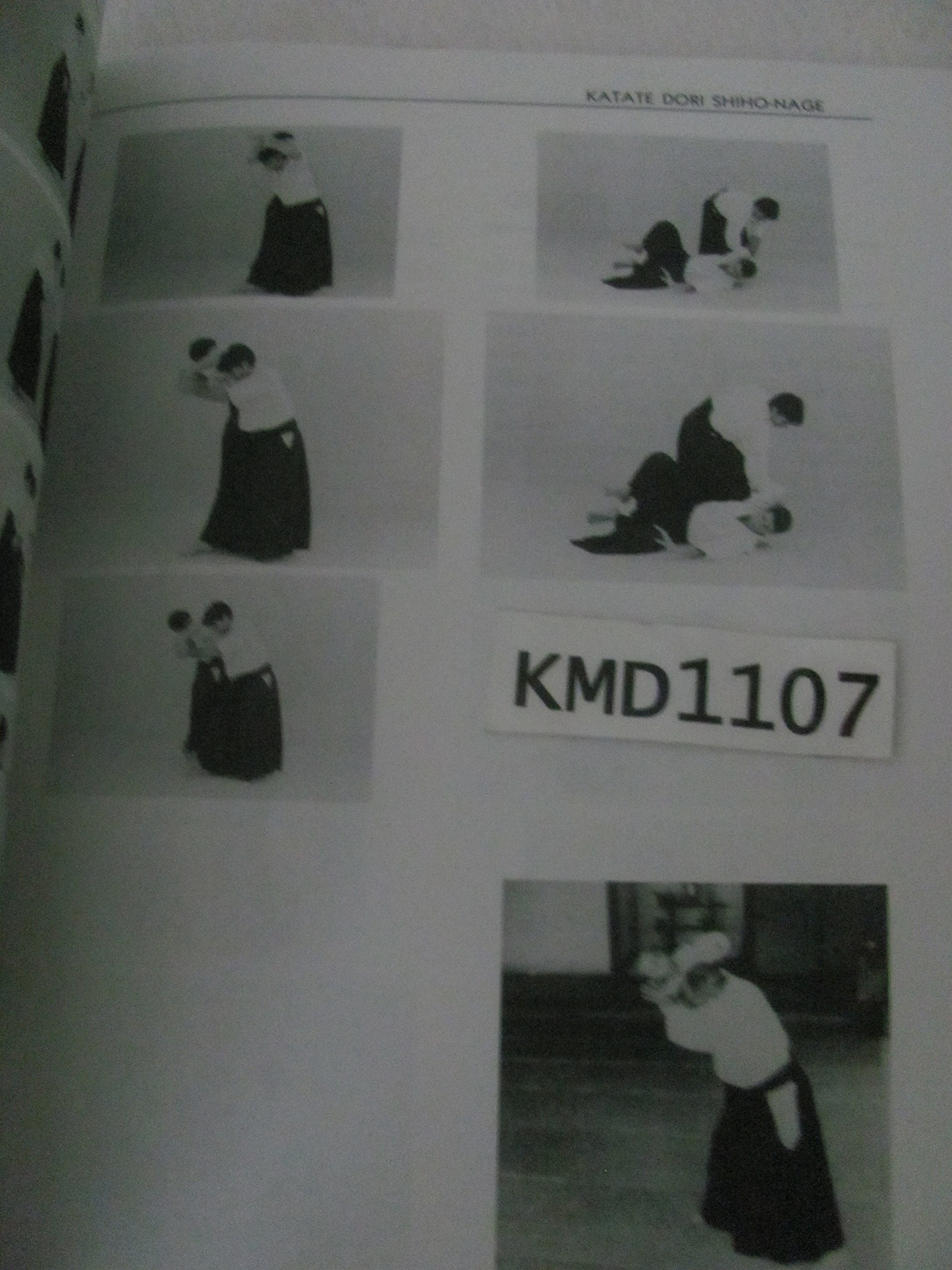 Living Aikido: Form, Training, Essence