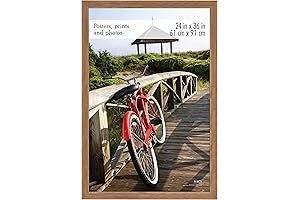 MCS Museum Poster Frame 24 x 36 Inches