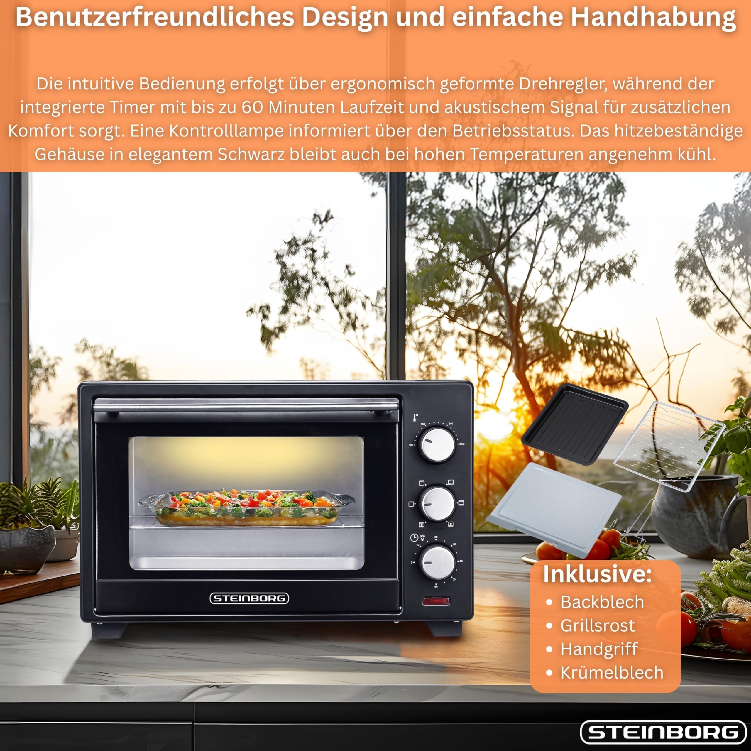 STEInBORG Mini Backofen 25 Liter | Pizza-Ofen | 3in1 Backofen | Minibackofen | Miniofen | Krümelblech | Ober-/Unterhitze | Konvektion | 60 minTimer | 1.600 Watt