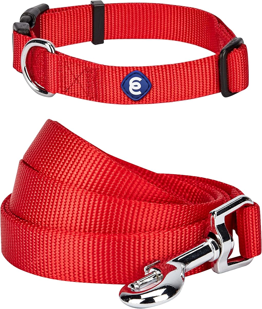 Blueberry Pet Essentials Bundle Set - Medium Rouge Red Dog Collar + 5 ft x 3/4" Dog Leash