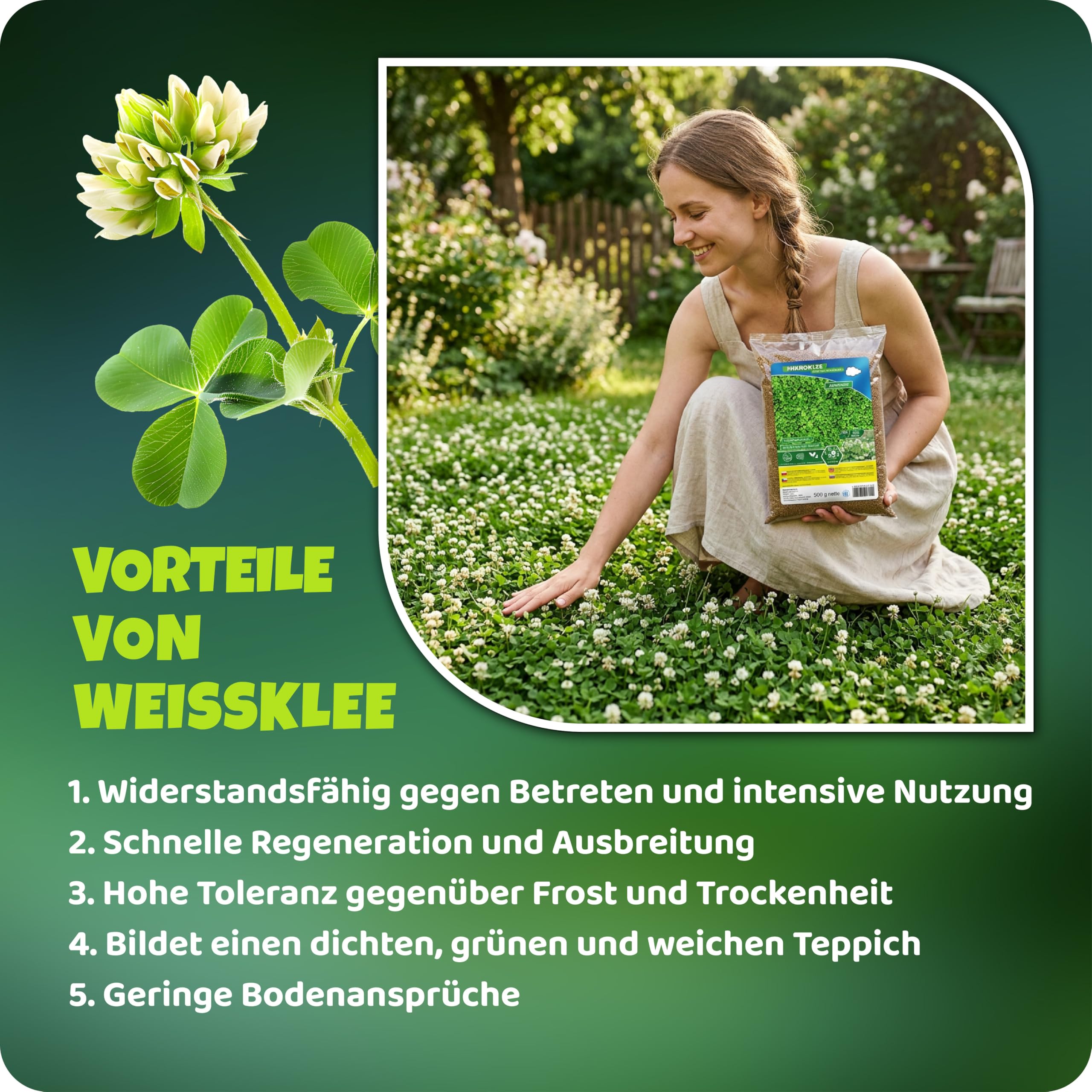 Mikroklee - Weißklee Trifolium repens 500g - Rasenklee bereichert den Rasen - Klee Samen zur Anlockung von Bienen -Saatgut für gleichmäßige, dichte Grasnarbe das ganze Jahr über
