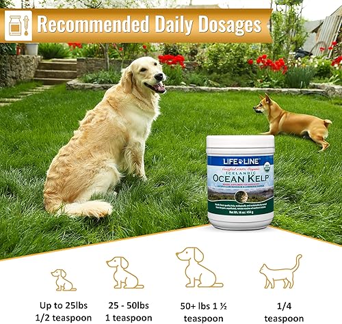 Miniatura 6 de Life Line Pet Nutrition Suplemento orgánico de algas oceánicas para piel y pelaje, digestión en perros y gatos, 16 onzas, 20101
