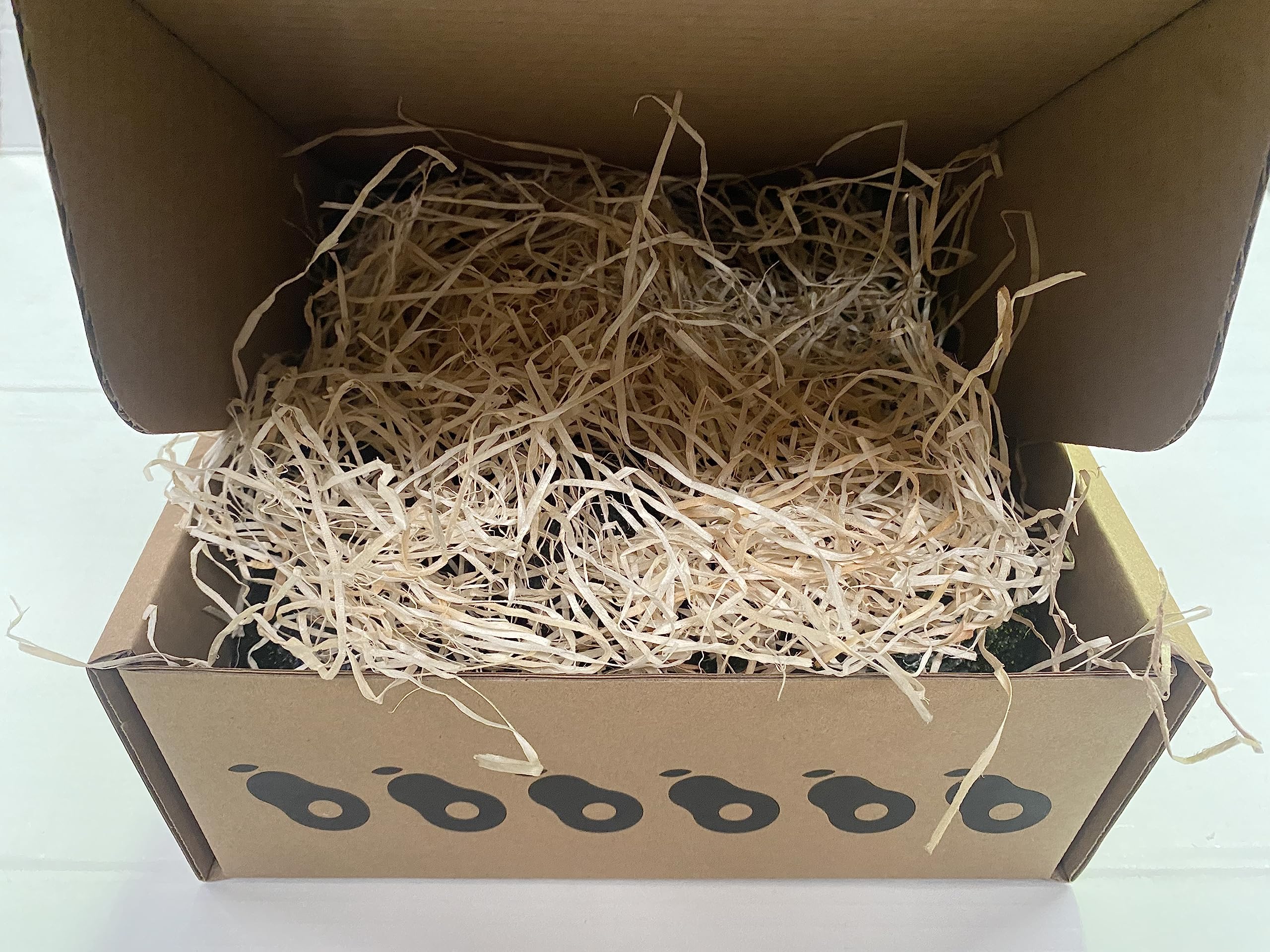 Aguacate Lamb Hass, caja de 2Kg., de 7 a 9 piezas, sin tratamientos químicos, cosecha propia. Se recolectan el día del envío.