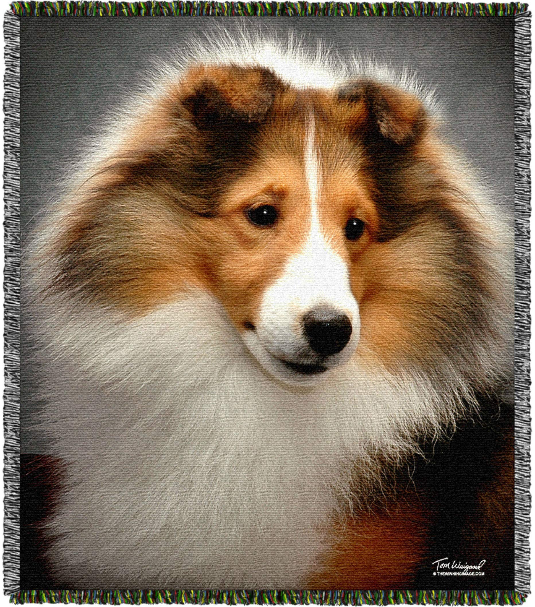 Pooch Power Sheltie Tom Weigand Shetland Sheep Dog Tapestry Throw Blanket