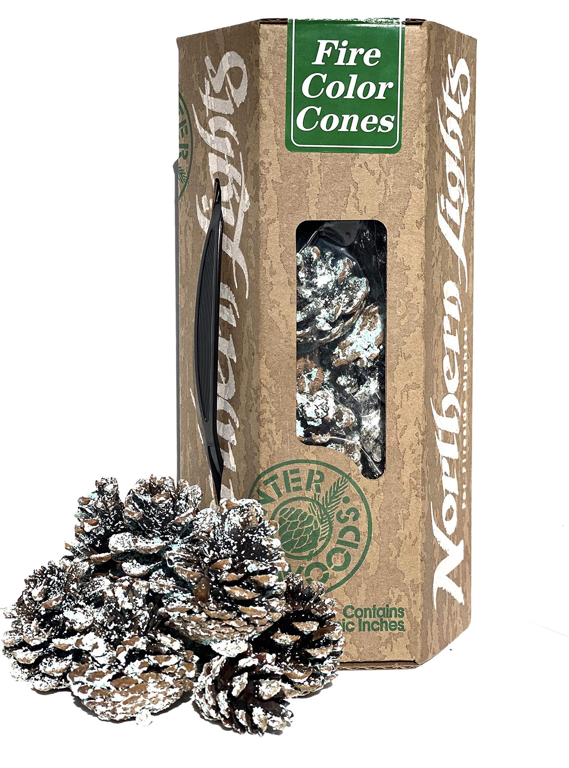 Winter WoodsNorthern Lights Colour Fire Cones