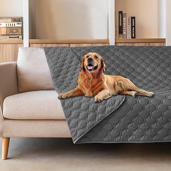 gogobunny 3X Stronger Waterproof Pet Blanket, Scratch Proof Furniture Protector for Dogs Cats, Reversible Cover 52x82 Inch, Dark Grey/Light Grey
