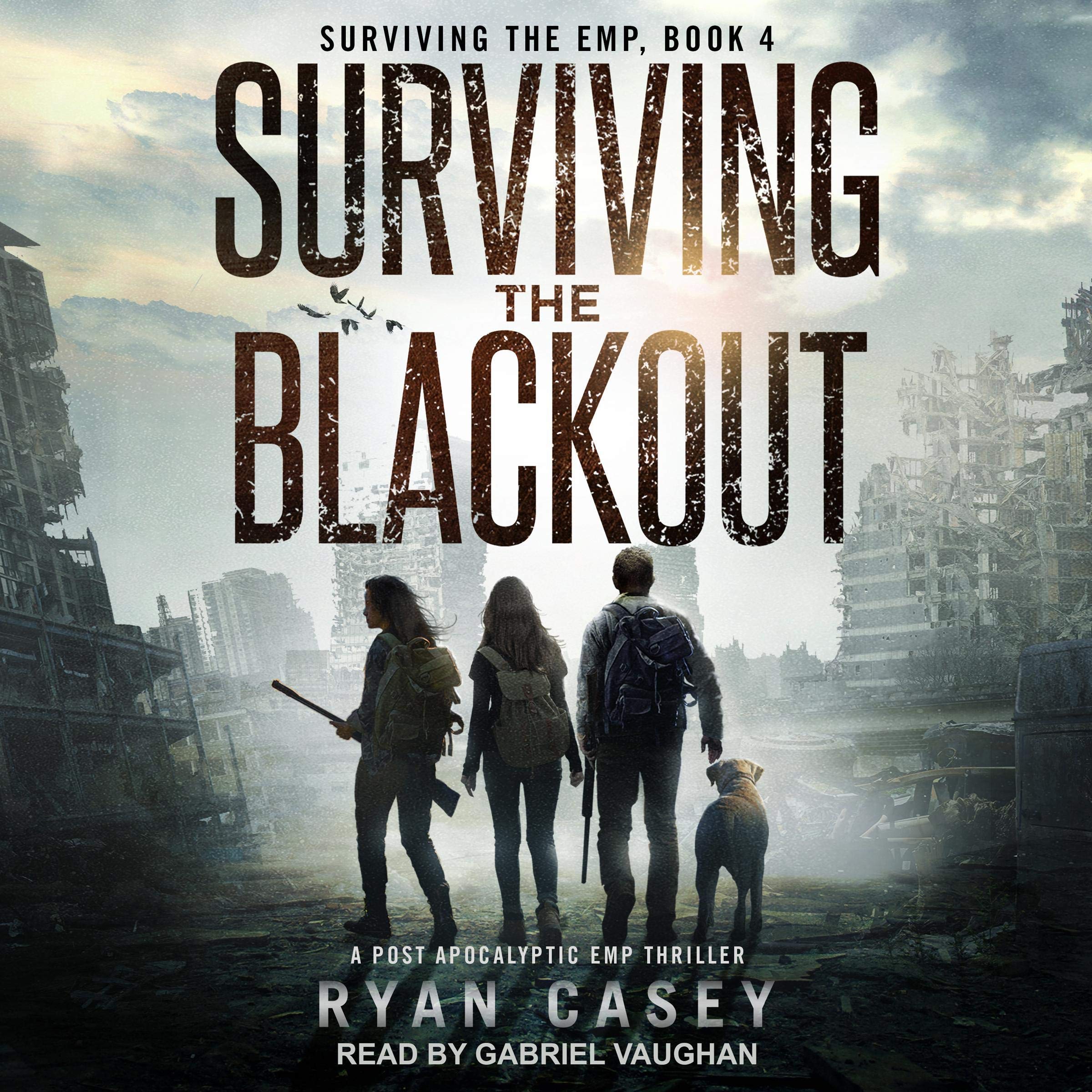 Cover art for Surviving the Blackout
