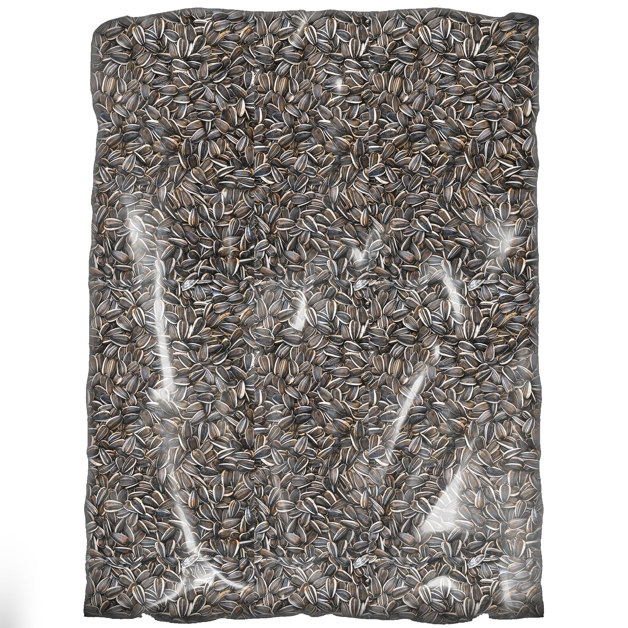 SQUAWK Semillas de Girasol Rayadas - Semillas Grandes Premium para Aves Silvestres - Ideales para Comederos y Nutrición de Aves al Aire Libre