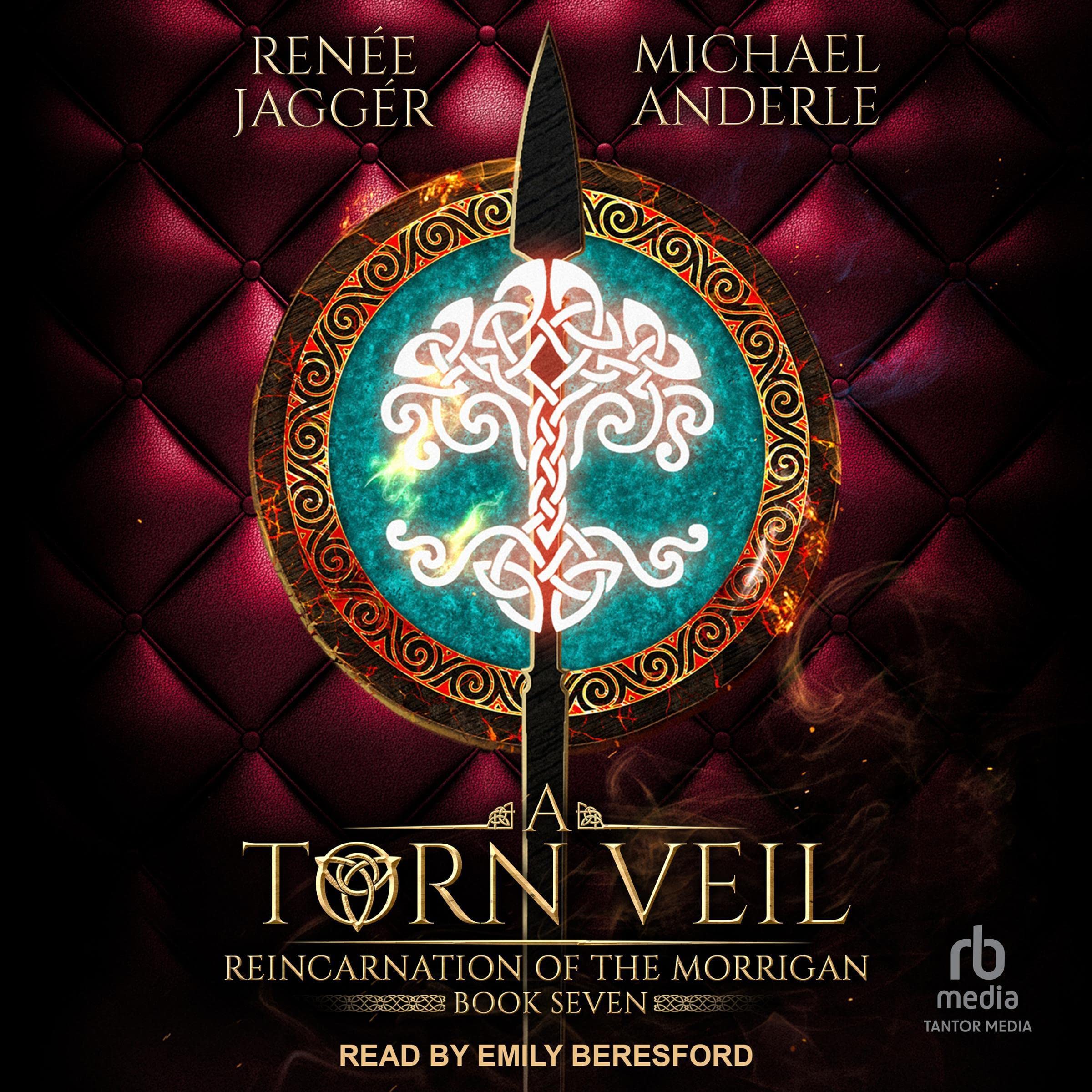 Cover art for A Torn Veil