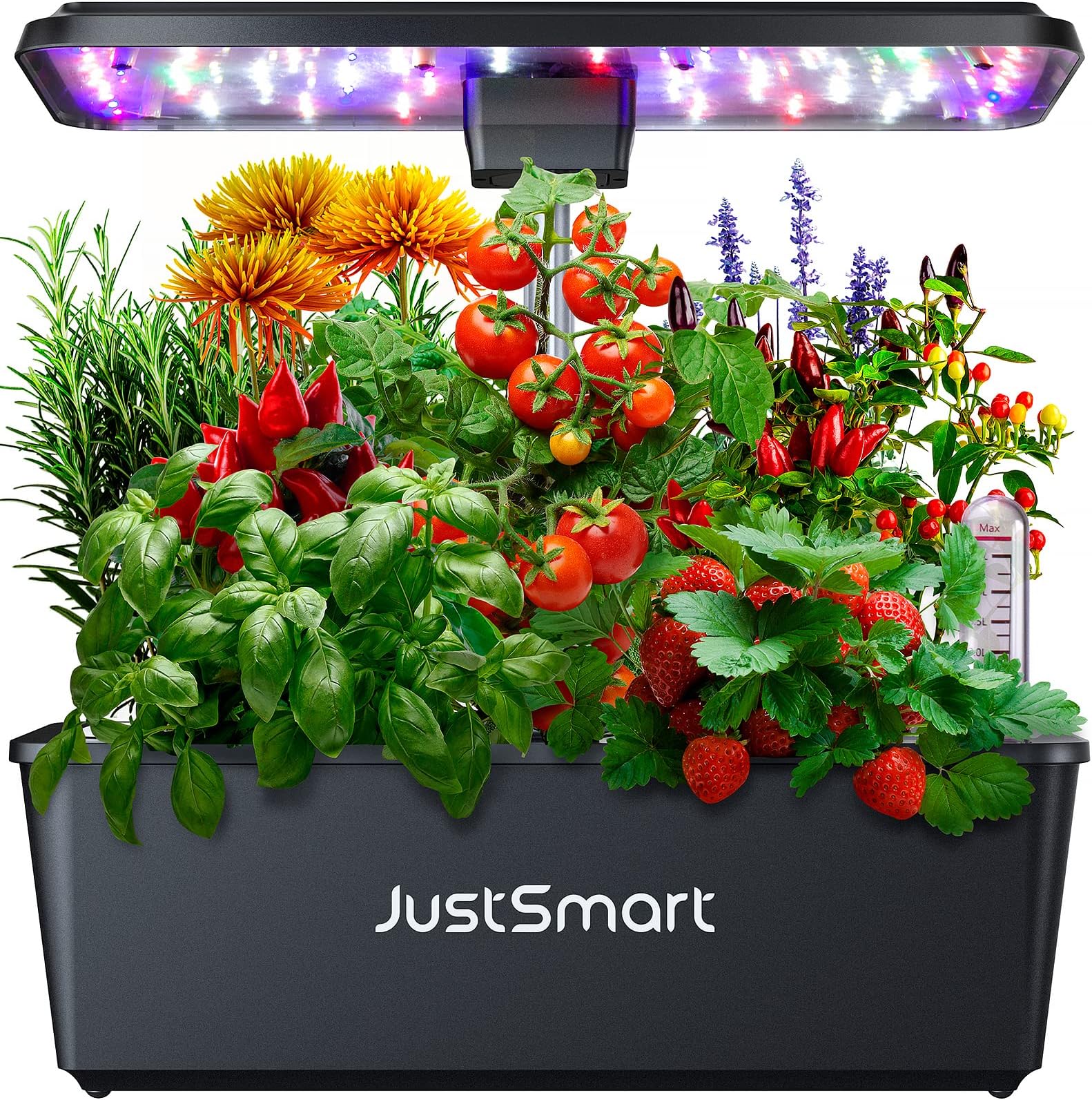 12 Pods Hydroponics Growing System, Indoor Herb Garden with 36W 5 Color LED Grow Light, Indoor Growing System with Tweezers, Automatic Timer and LED Full Spectrum, Up to 23"