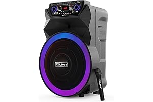 Dolphin SP-18RBT: Powerful Portable Party Speaker with Wireless Microphones