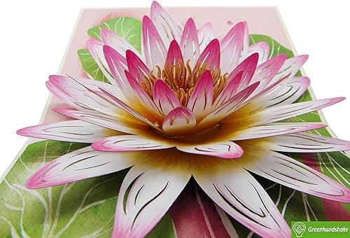 Miniatura 6 de Water Lily Quillipop - Tarjeta de felicitación 3D emergente hecha a mano, tarjeta de felicitación única hecha a mano para cumpleaños, día de San