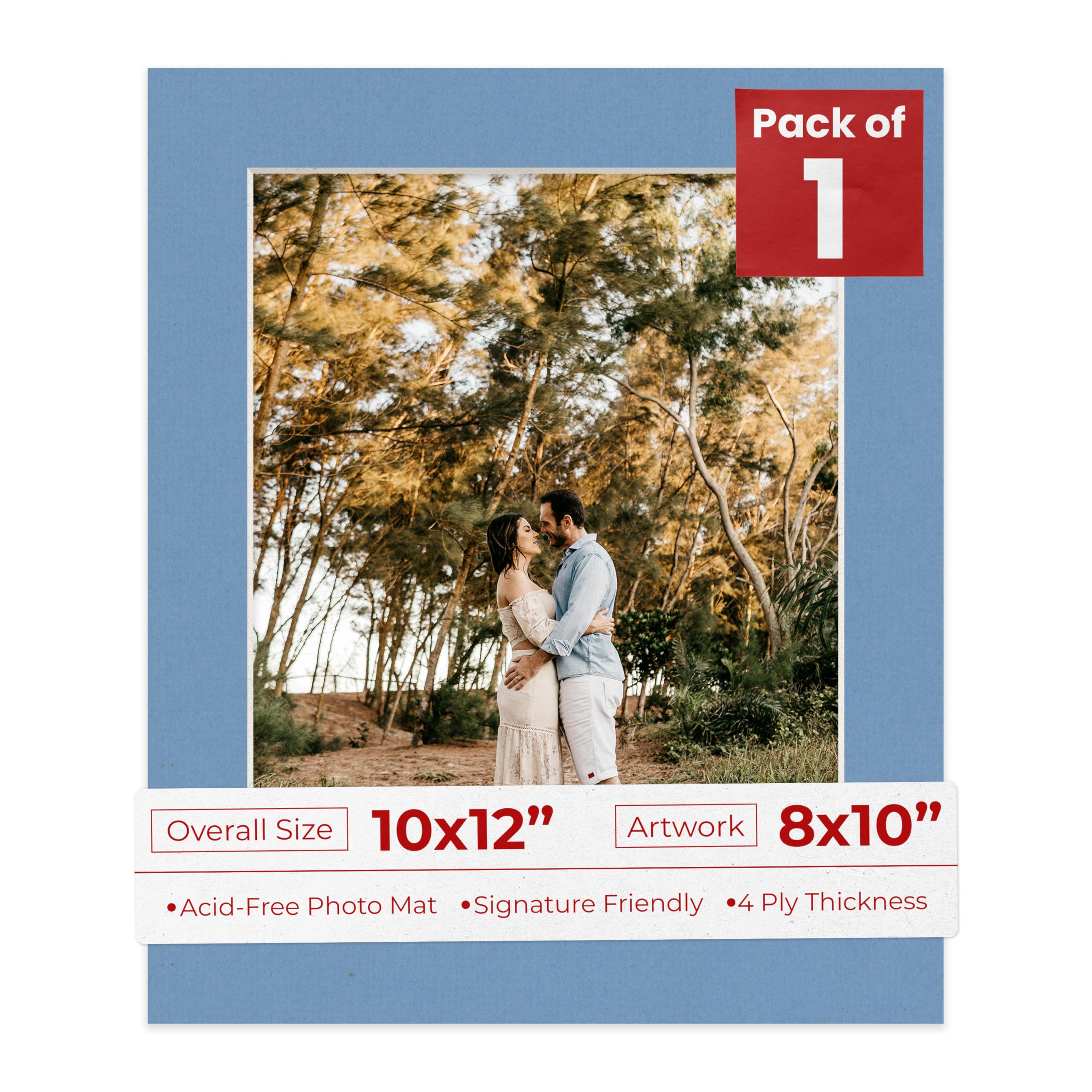 10x12 Mat Bevel Cut for 8x10 Photos - Acid Free Brittany Blue Precut Matboard - For Pictures, Photos, Framing - 4-ply Thickness-image-39
