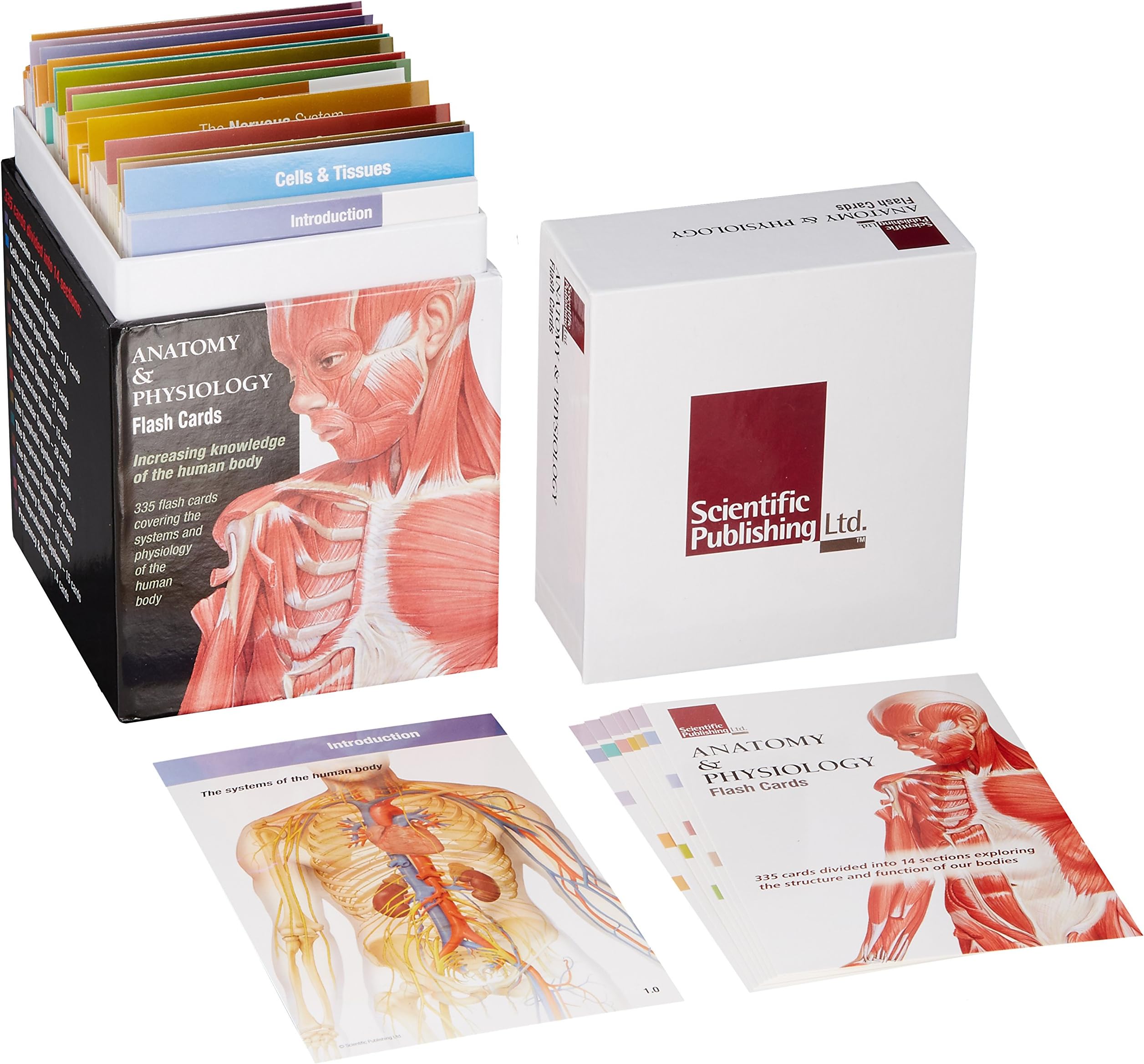 Anatomy and Physiology Flash Cards: Increasing Knowledge of the Human Body Cards – 23 Jun. 2009