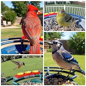PerchMe Smart Bird Feeder with Camera, Solar Powered Bird Watching Camera for Outside, 2K HD Auto Capture Motion Detection with AI Identify, DIY Add-ons & Seed Scoop, A Ideal Gift