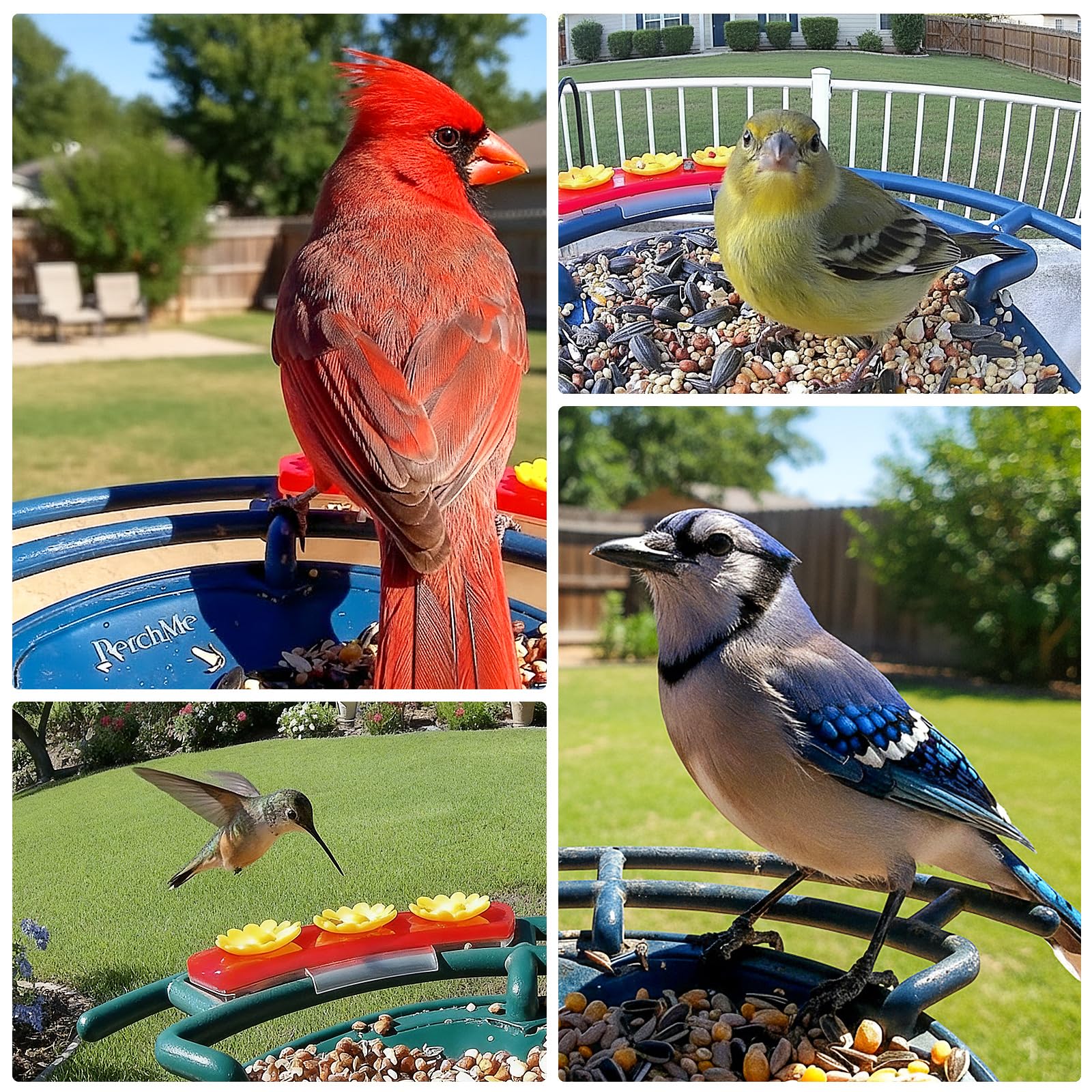 Comedero inteligente para pájaros con cámara, cámara de observación de aves alimentada por energía solar para exteriores, detección de movimiento de captura automática 2K HD con identificación