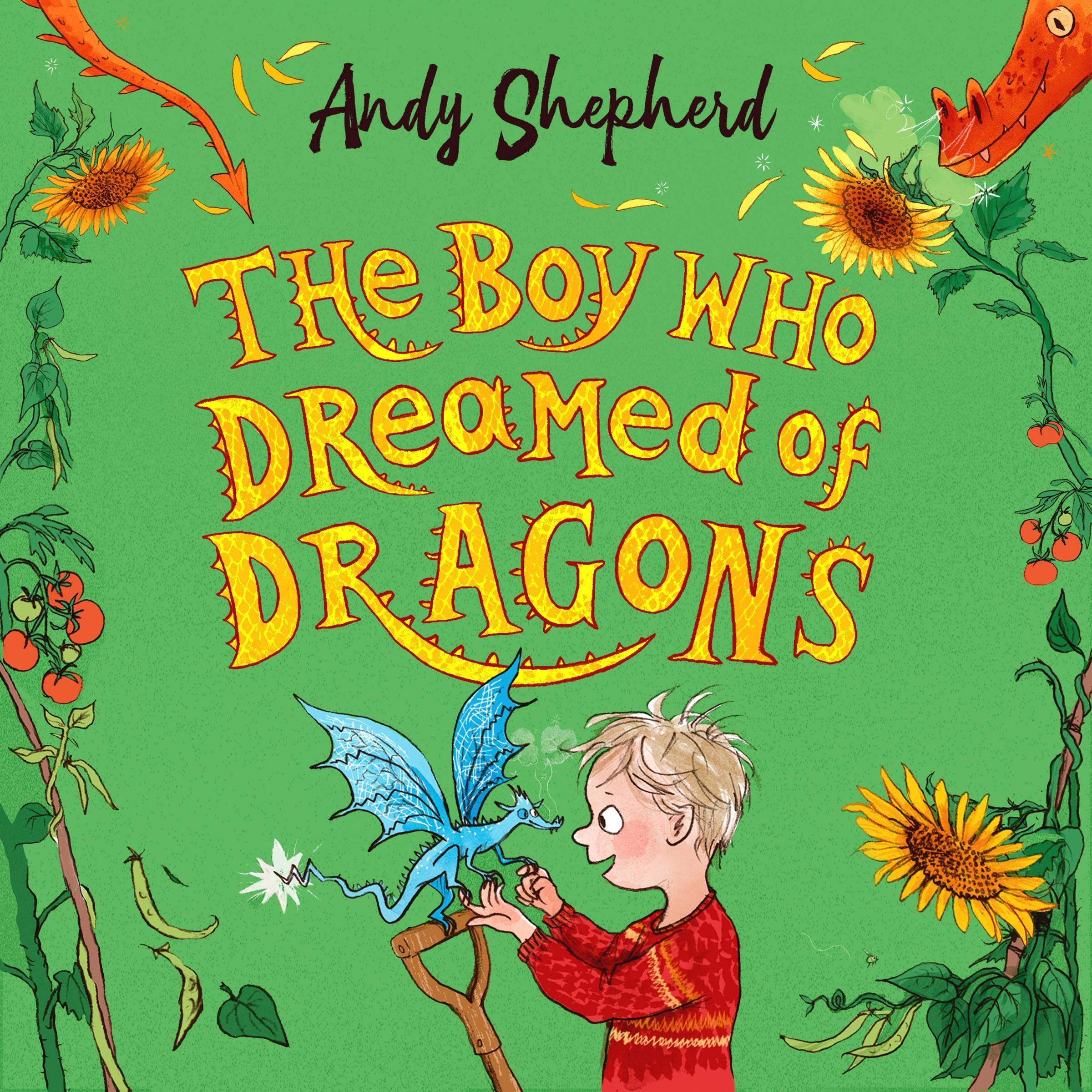 Cover art for The Boy Who Dreamed of Dragons