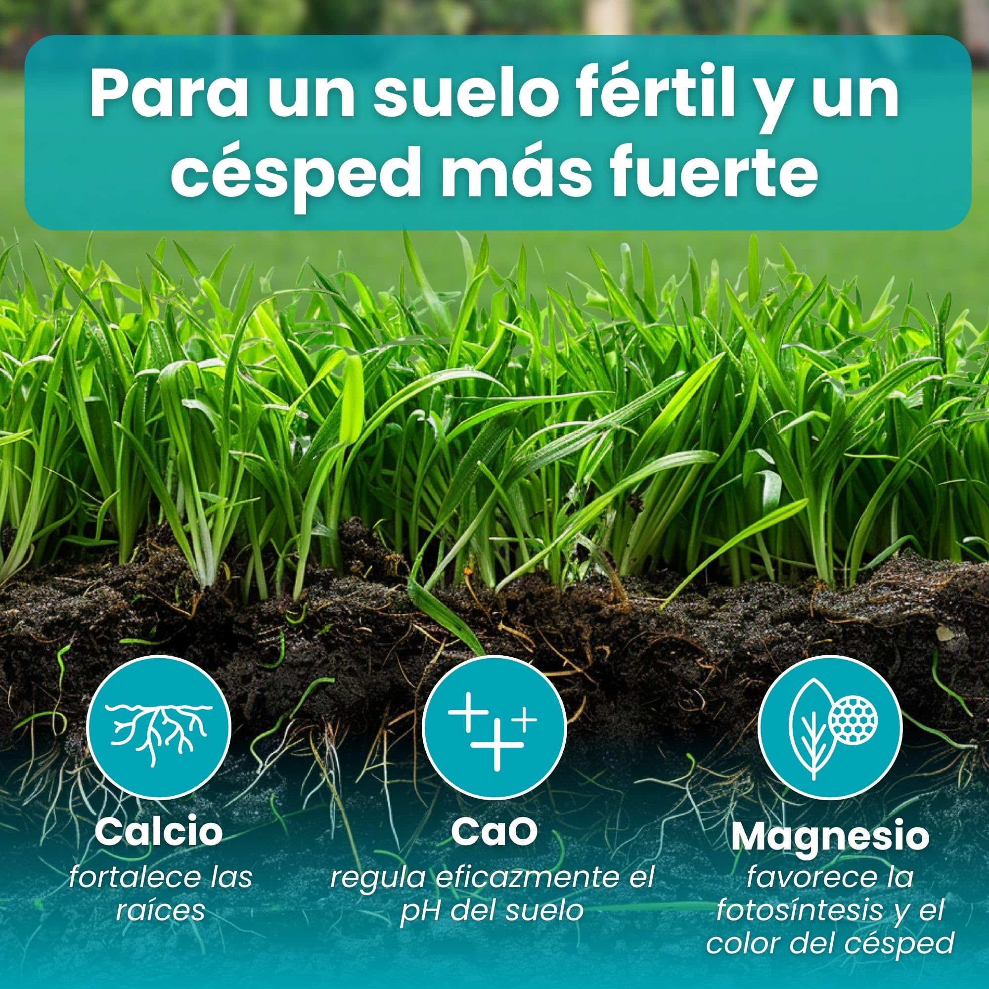 LERAVA Revive (9 kg) - Cal para césped para equilibrio óptimo del pH - enmienda calcárea para mejorar la estructura y fertilidad del suelo- aporte natural de calcio para césped denso y resistente