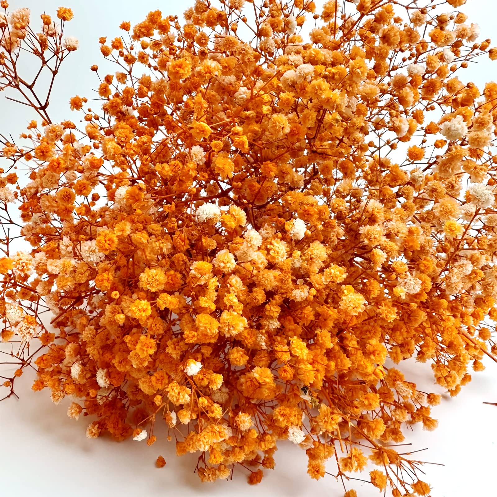 Birtlynn Preserved Baby's Breath 3 Bunches, 100% Natrual Fresh Gypsophila Long Lasting Flowers for Vase Arrangements Home Decoration Photo Props Parties and Weddings, DIY Décor-Orange