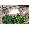 Product Photo 9