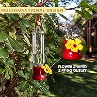 Vista 3 de JOIEDOMI Juego de 6 mini comederos para colibríes con cables para colgar, juego de comederos transparentes para colibríes al aire libre con 3