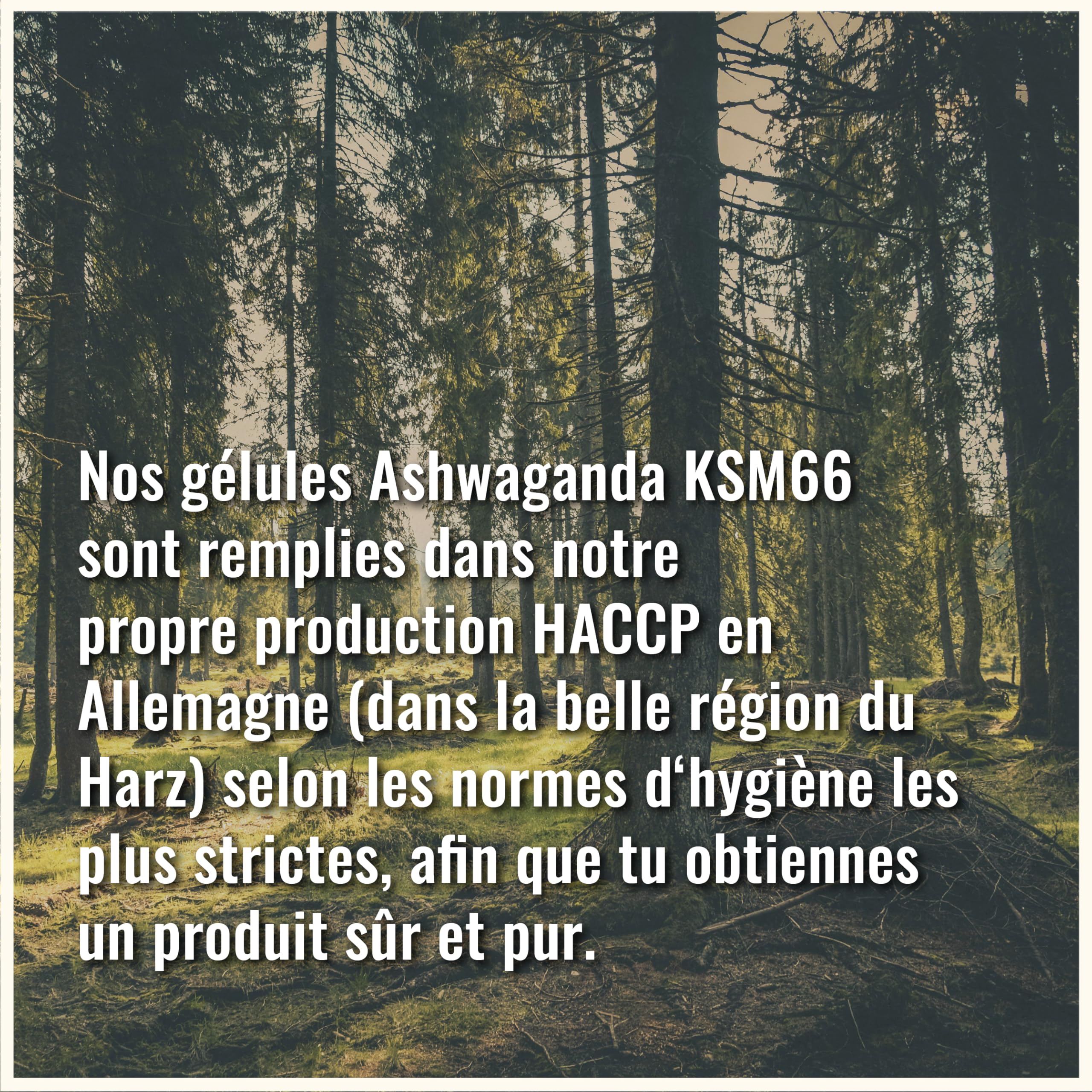 Ashwagandha KSM-66 Gélules – Ultra hautement dosé 6 000 mg par gélule – Extrait pur sans additifs – 100 gélules d’Ashwagandha – KSM66 Withanolides