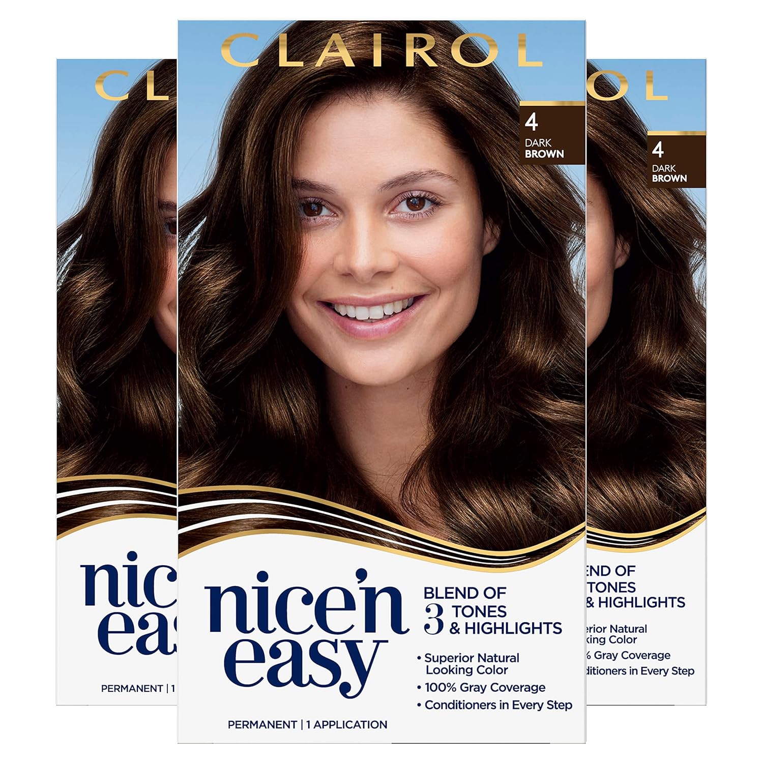 Clairol Nice'n Easy Permanent Hair Dye, 4 Dark Brown Hair Color, Pack of 3 : Beauty & Personal Care