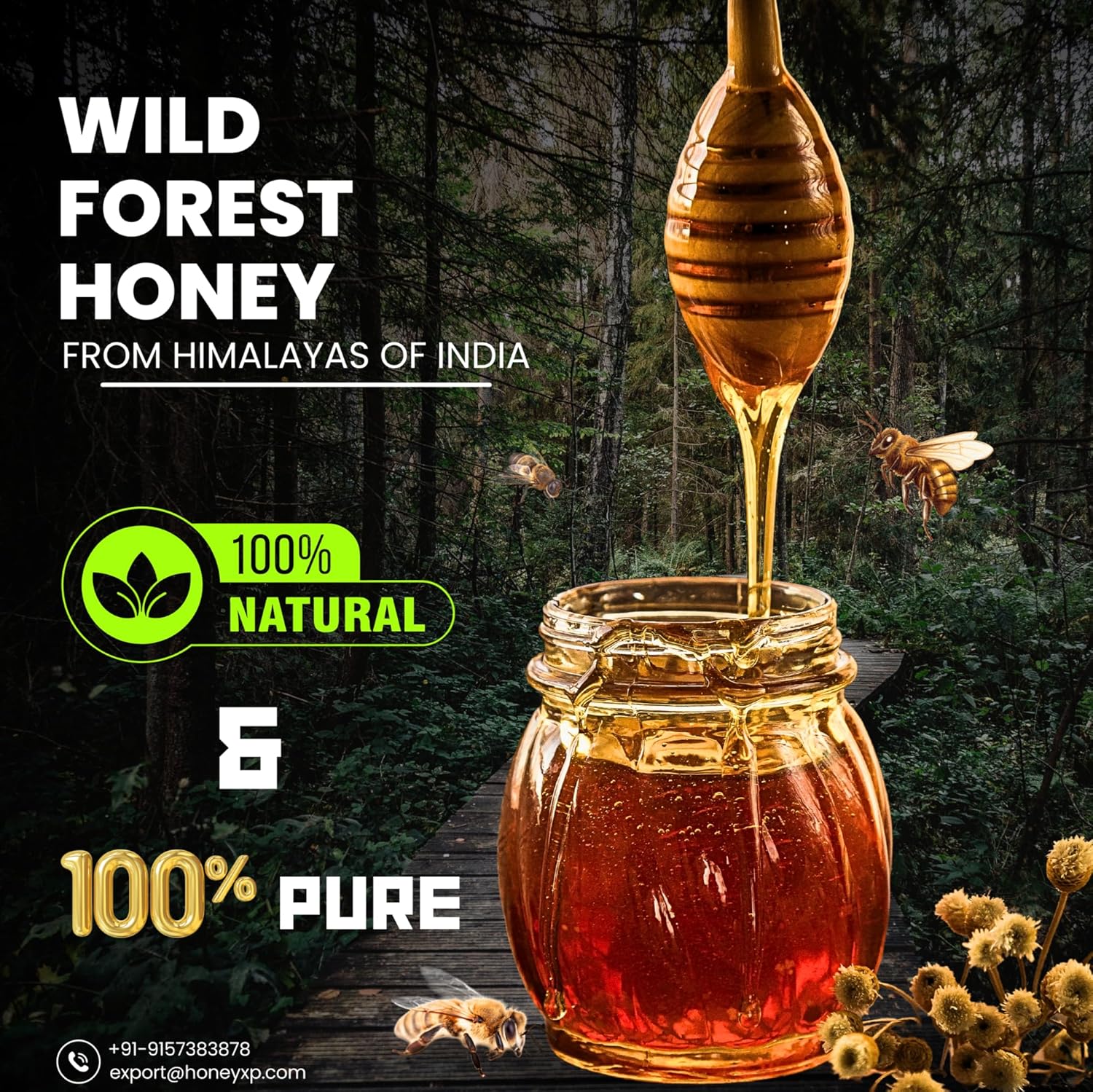 Honey XP Raw Himalayan Wild Forest Honey – 100% Pure & Natural – No Added Sugar – Unprocessed & Cold-Filtered – 680g (24 oz) Glass Jar – Harvested from Indian Himalayas