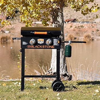 Amazon.com: BLACKSTONE 22 Inch On The Go Portable Gas