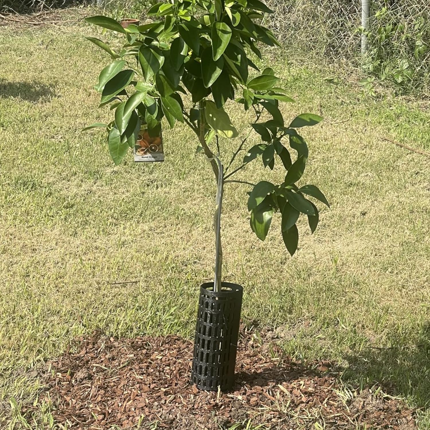 20PCS Plant and Tree Guard Protector, Tree Trunk Protector Around Trunk Bark, Saplings, and Vines, Expandable Mesh Tree Bark Protector 15 Inches Tall, Protect from Trimmers, Mowers, and Animals