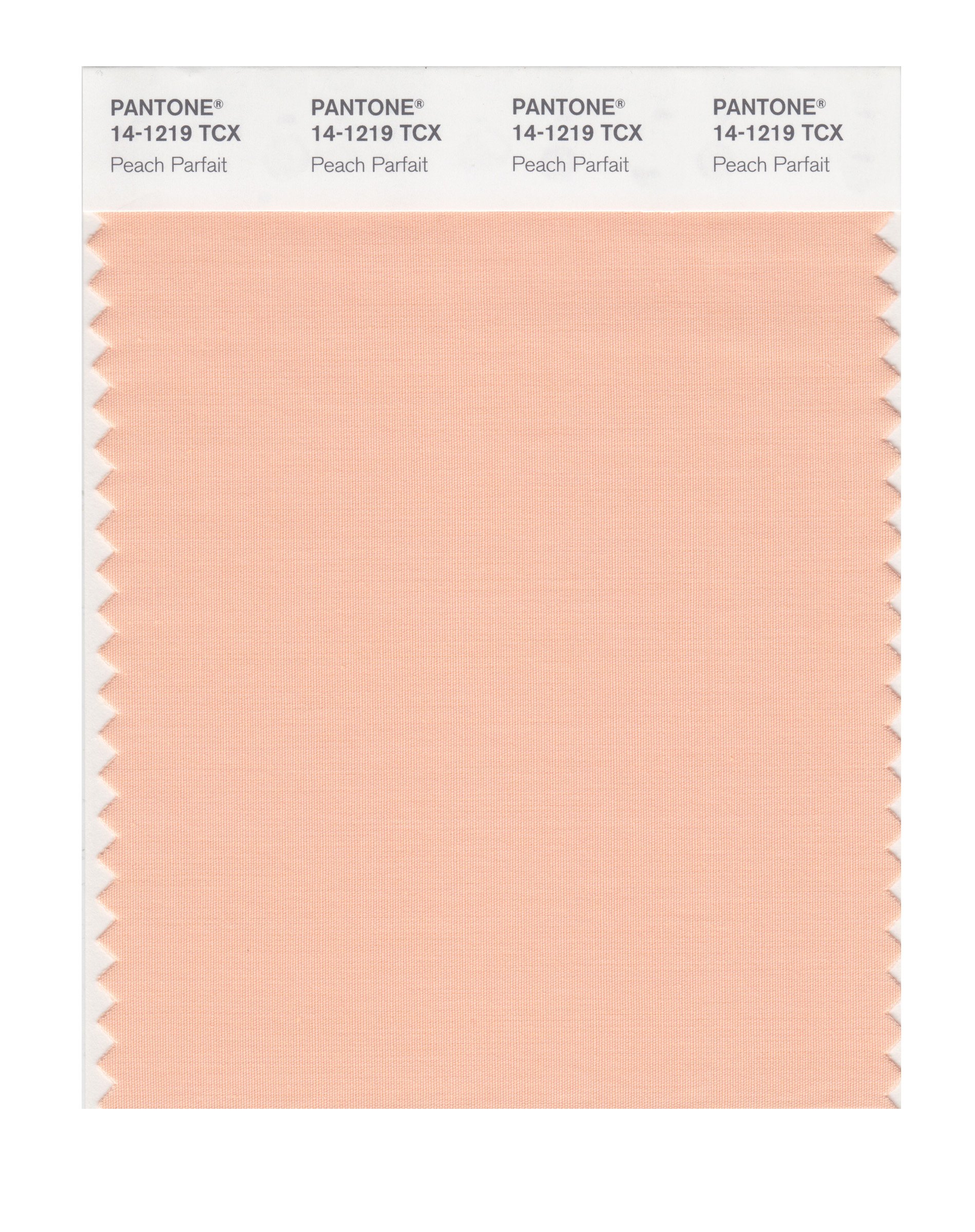 PEACH PANTONE SMART 14-1219X Color Swatch Card, Peach Parfait - Wall