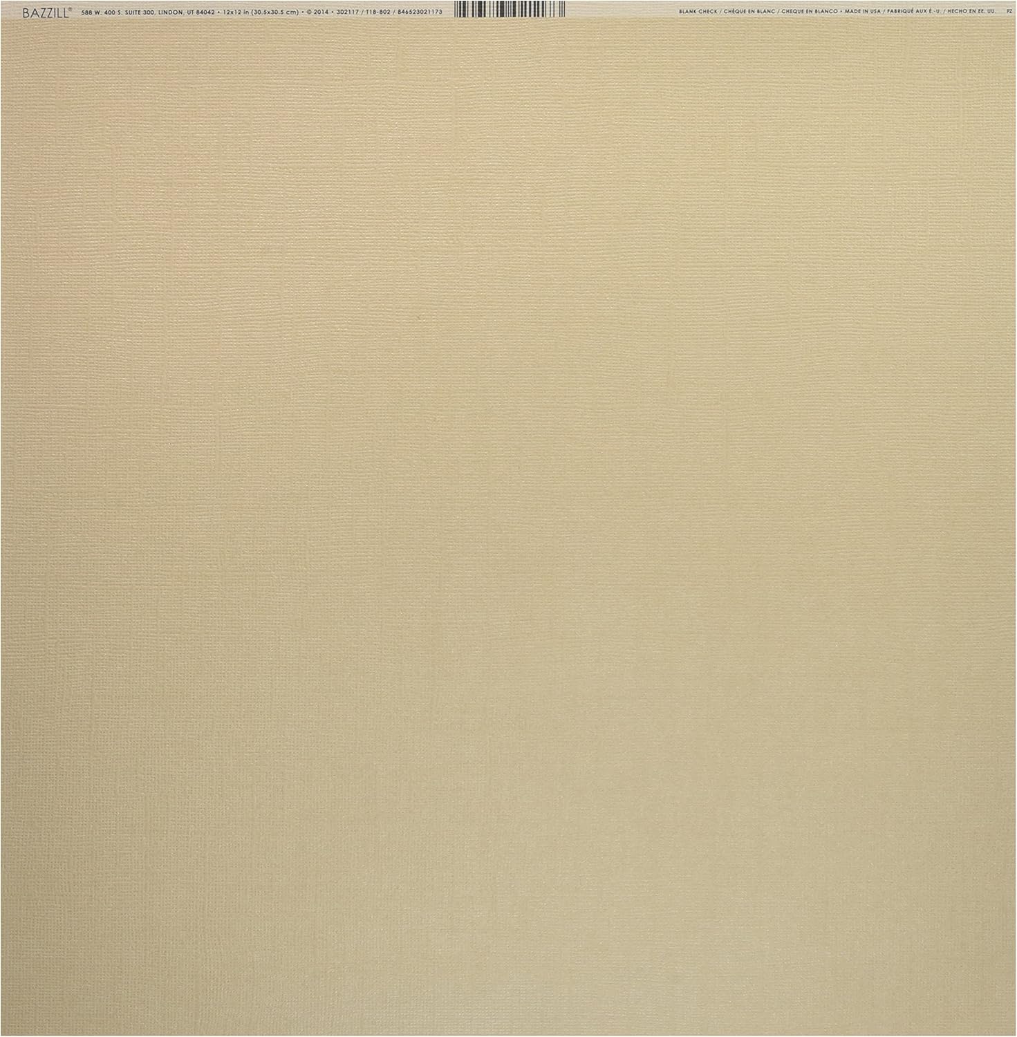 Bazzill BAZ302117 Bling Cardstock 12"X12"-Blank Check 25 per Pack
