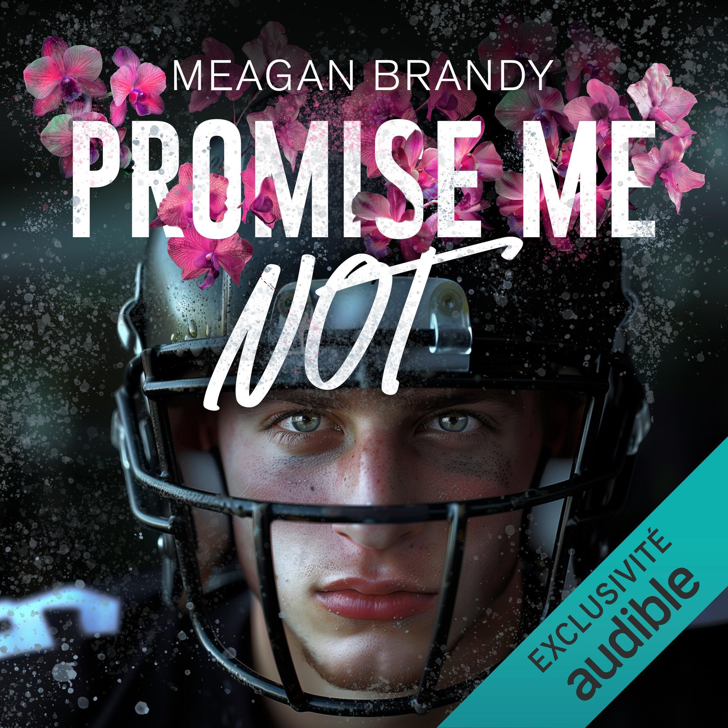 Cover art for Promise Me Not