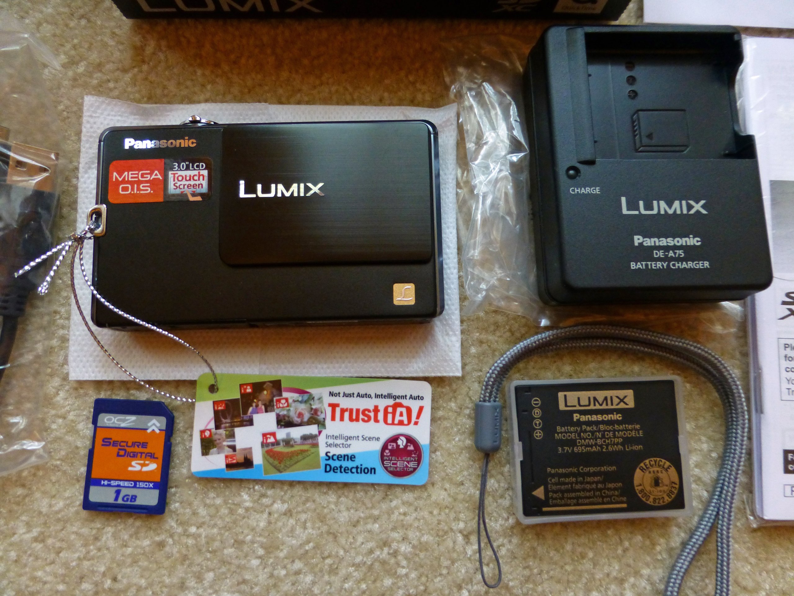 Amazon.com: Panasonic Lumix DMC-FP3 14.1 MP Digital Camera with 4x